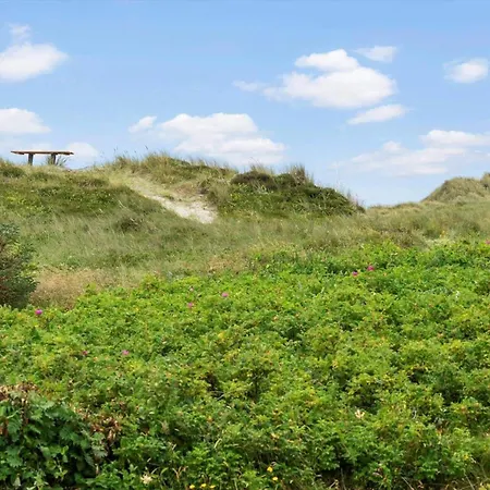 217-ringkobing-trikavej-8 Hébergement de vacances